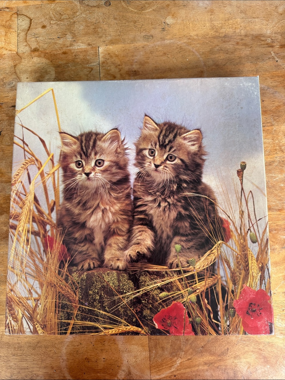 Sitting Pretty Eaton Jigsaw Puzzle Treasure Collection 500 Pieces 1980